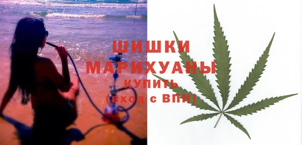 хмурый Гусев