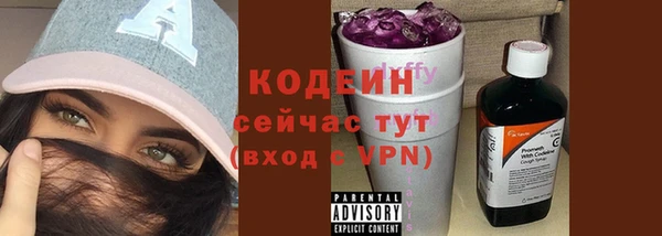 хмурый Гусев
