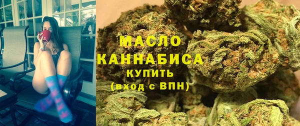 спайс Гусь-Хрустальный