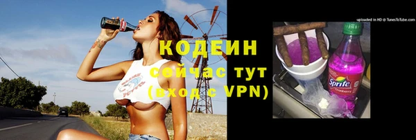 индика Чекалин