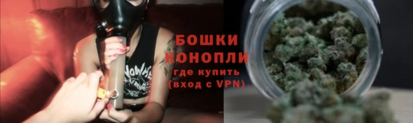 спайс Гусь-Хрустальный