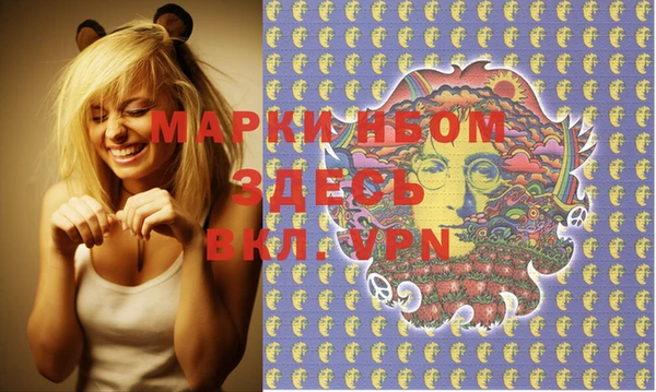 спайс Гусь-Хрустальный