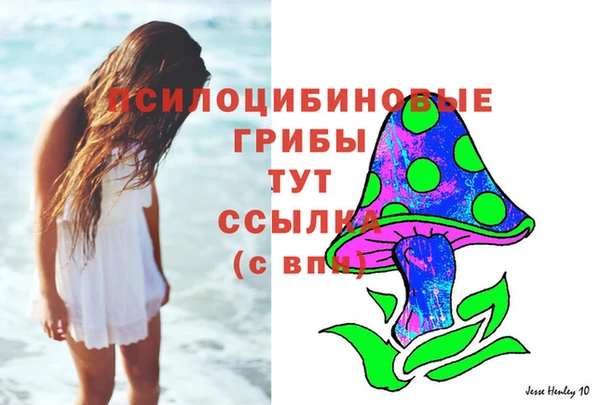 круглые Гусиноозёрск