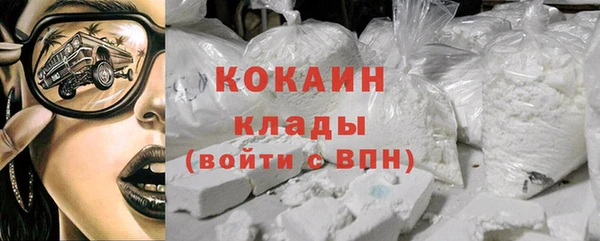хмурый Гусев