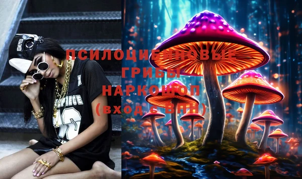хмурый Гусев