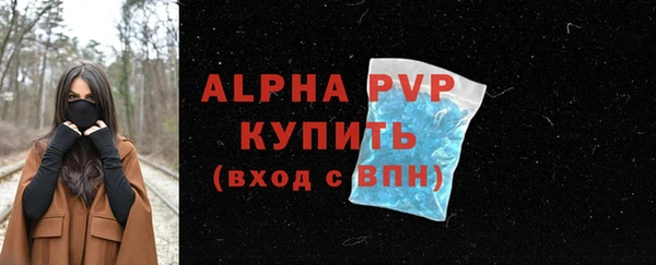 спайс Гусь-Хрустальный