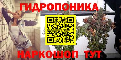 гидра Апрелевка