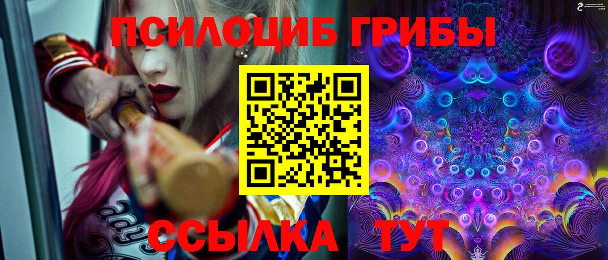 Псилоцибиновые грибы Psilocybine cubensis Нерюнгри