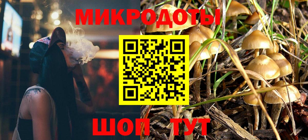 Псилоцибиновые грибы прущие грибы Нерюнгри