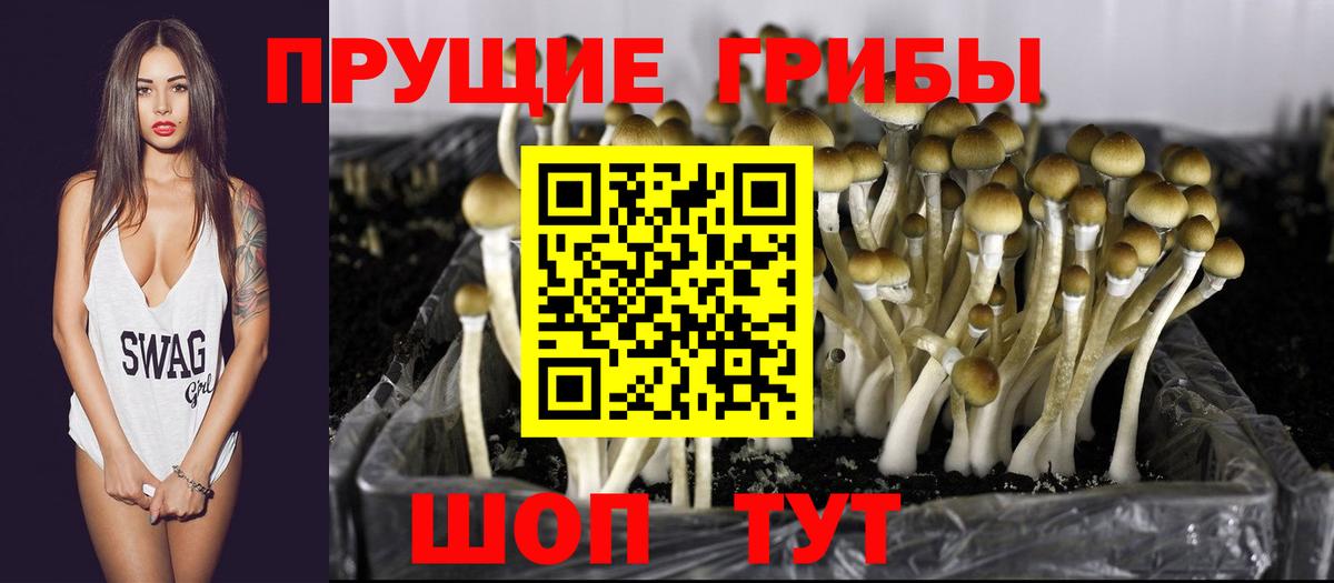 Галлюциногенные грибы Psilocybe  Псилоцибиновые грибы мицелий  Нерюнгри  Вход с VPN 